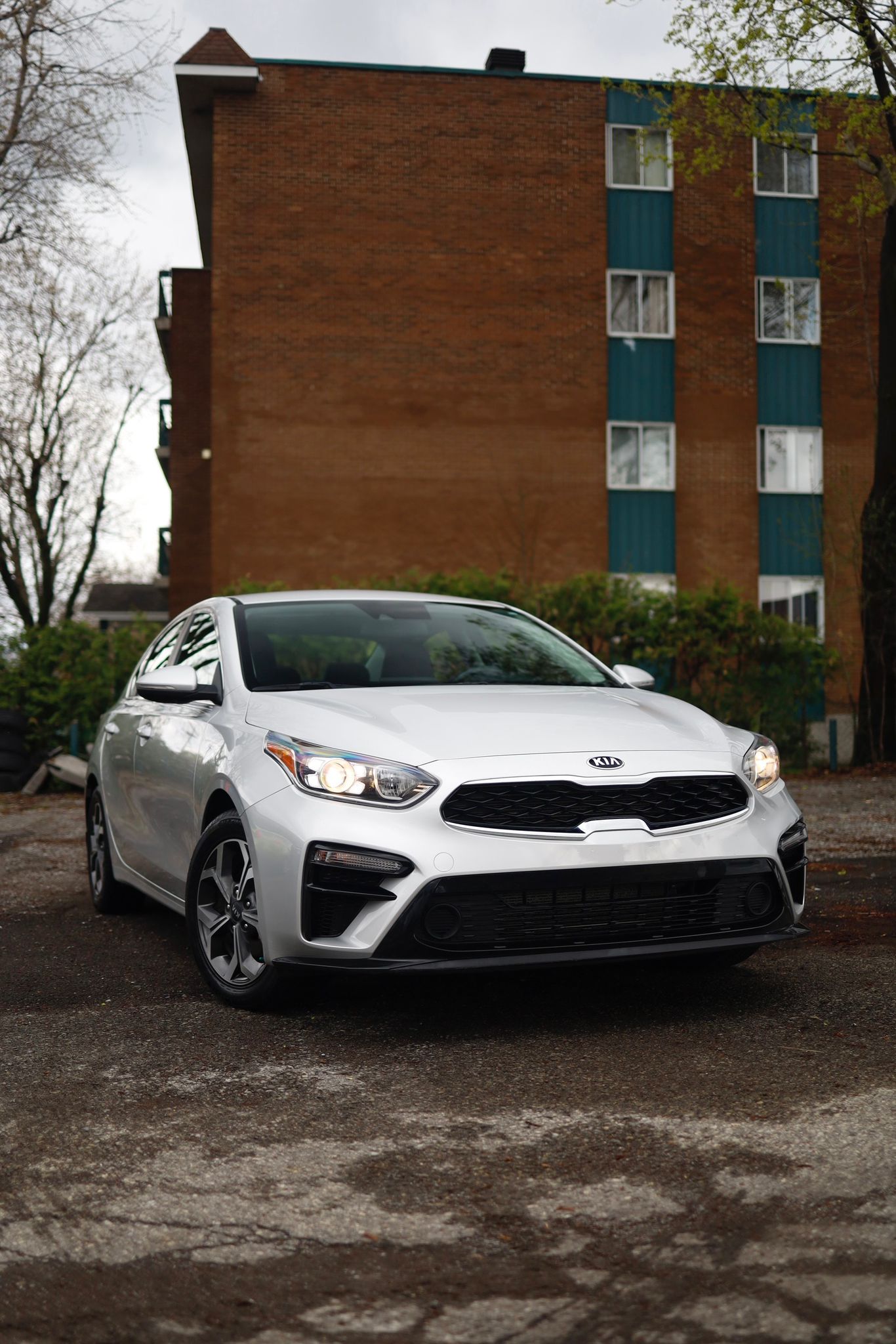 Kia grise